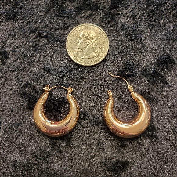 Jewelry | Rose Goldtone Fat Hoop Earrings 2 | Poshmark